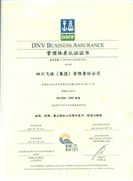 ISO9001：2008管理體系認(rèn)證證書【四川飛球（集團）有限責(zé)任公司】1